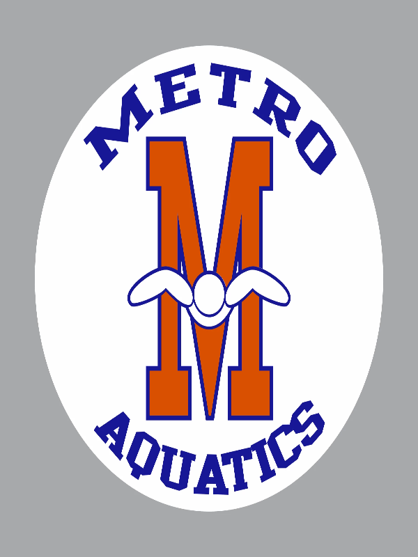 Metro Car Decal